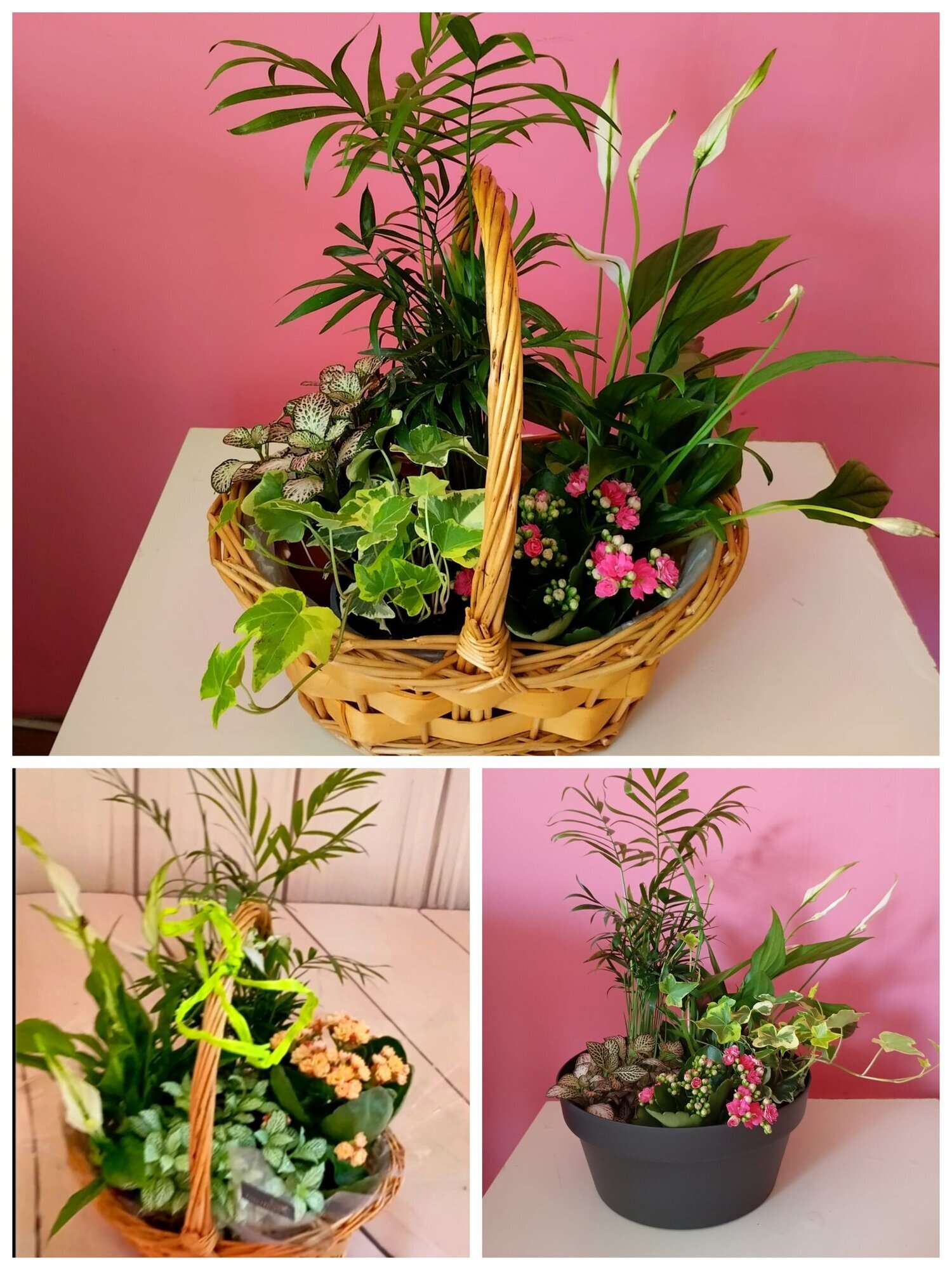 Galería en miniatura