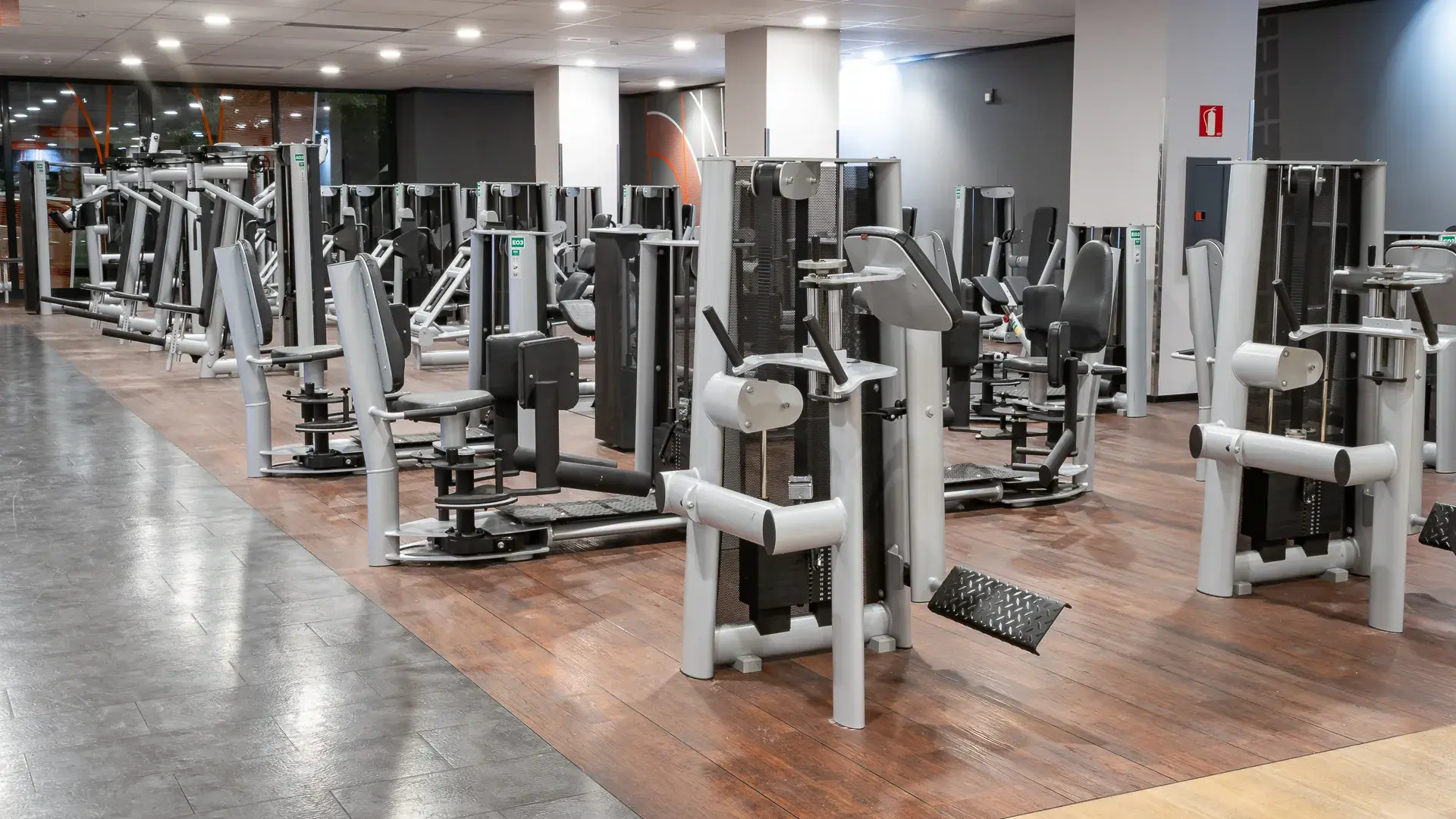 Galería de imágenes