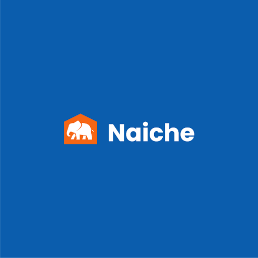 Naiche Inc Public Insurance Adjuster Logo