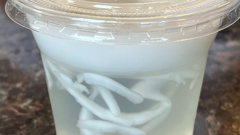 Fresh Coconut Jelly