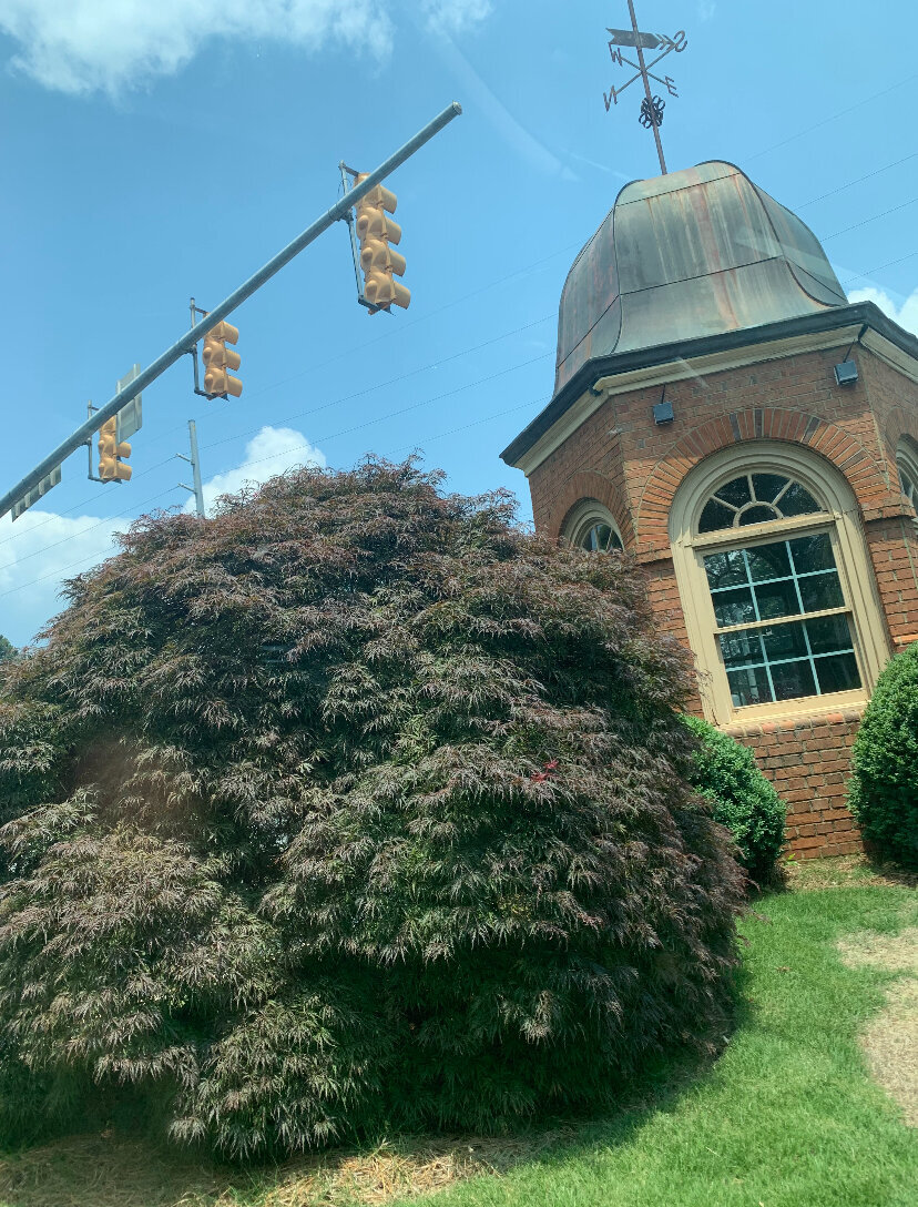 First Alternative Chiropractic Image