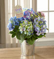 The FTD® Have Fun, Laugh Lots Hydrangea Plant by Hallmark