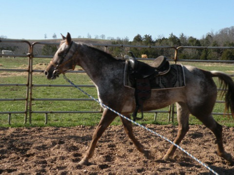 Rockin G Ranch Logo