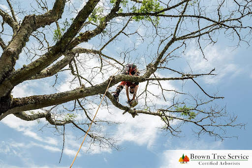 Brown Tree Service Inc