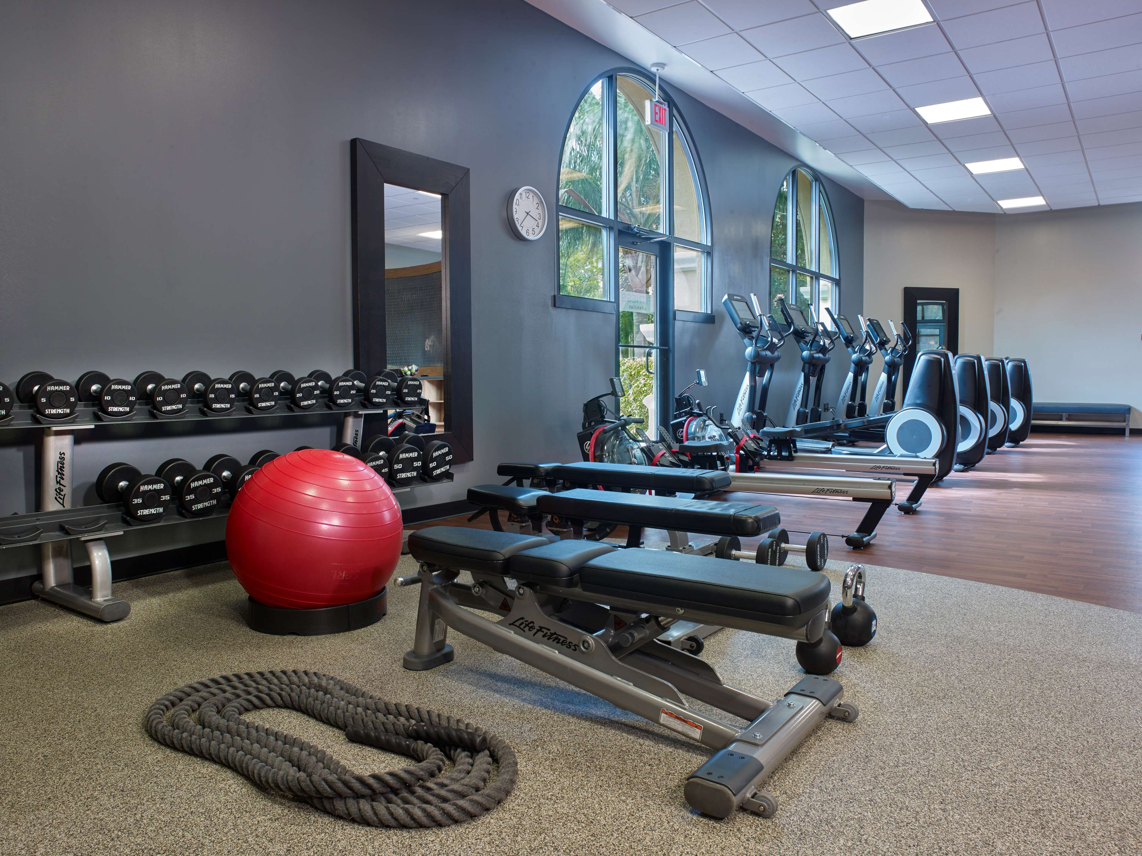 Health club  fitness center  gym