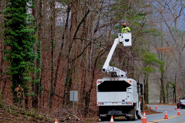 Revival Tree Service Image