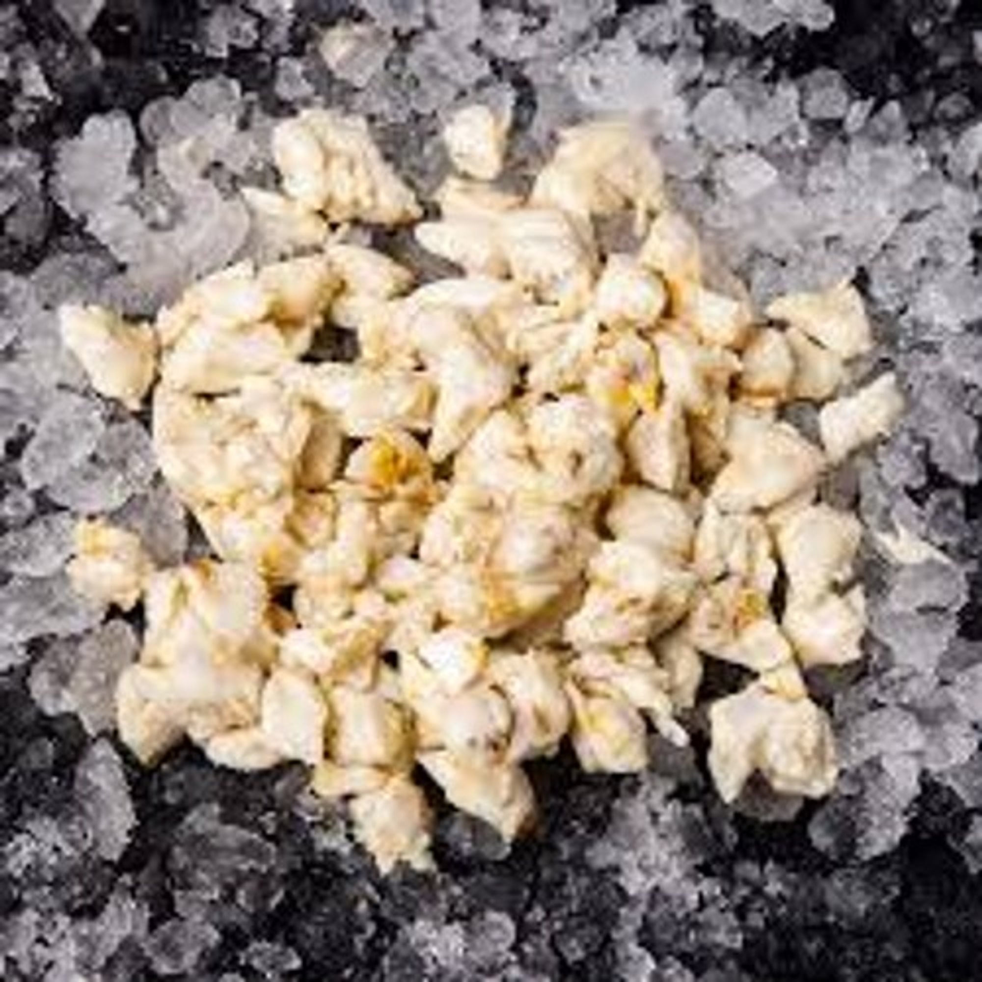 Lump Crab Meat