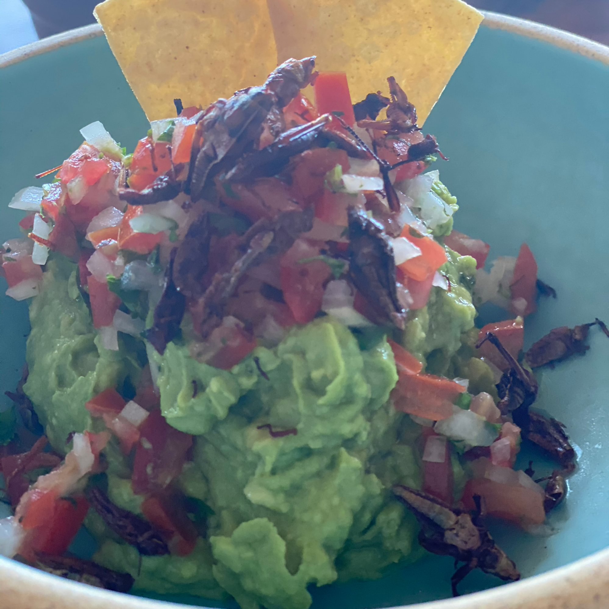 Guacamole