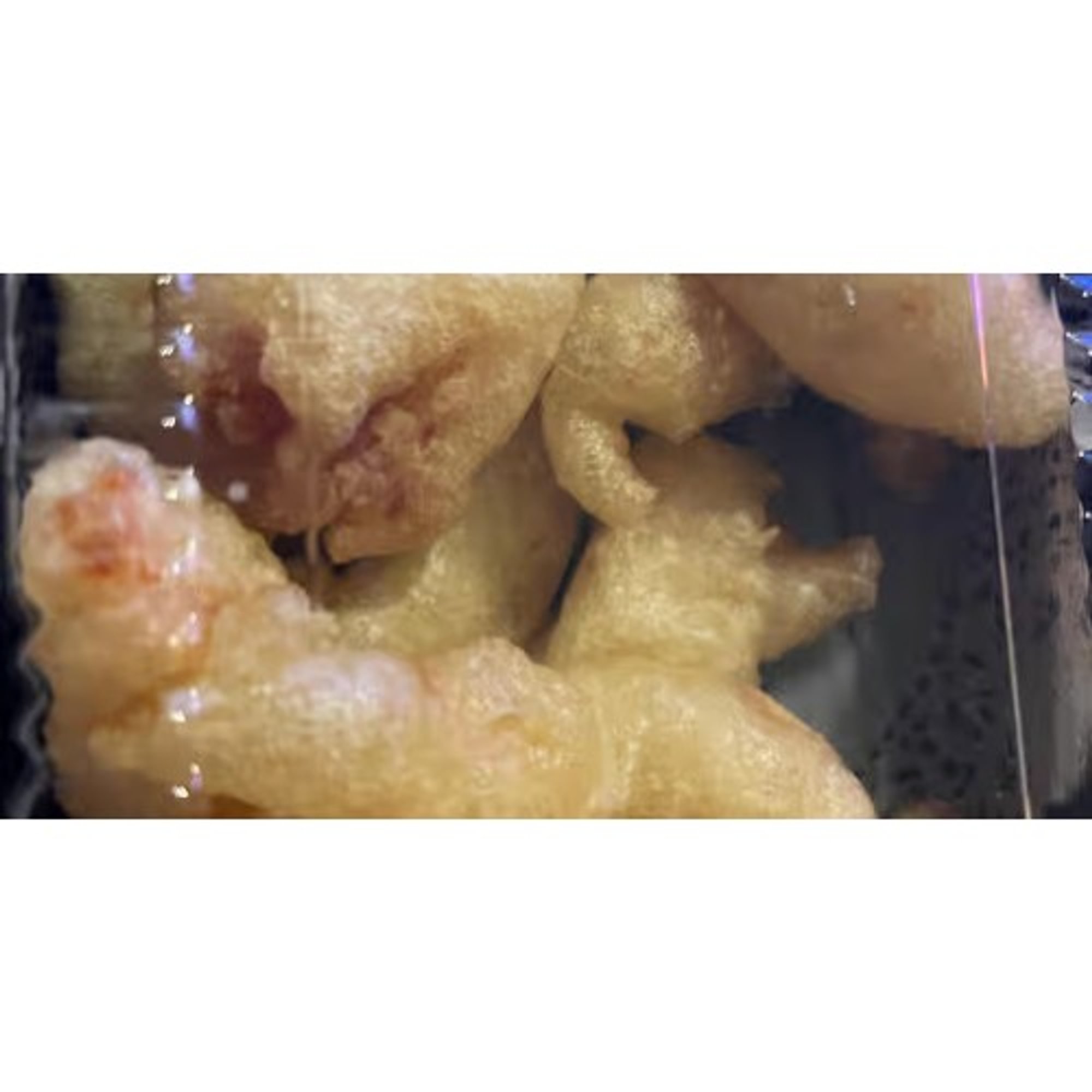 Rock Shrimp