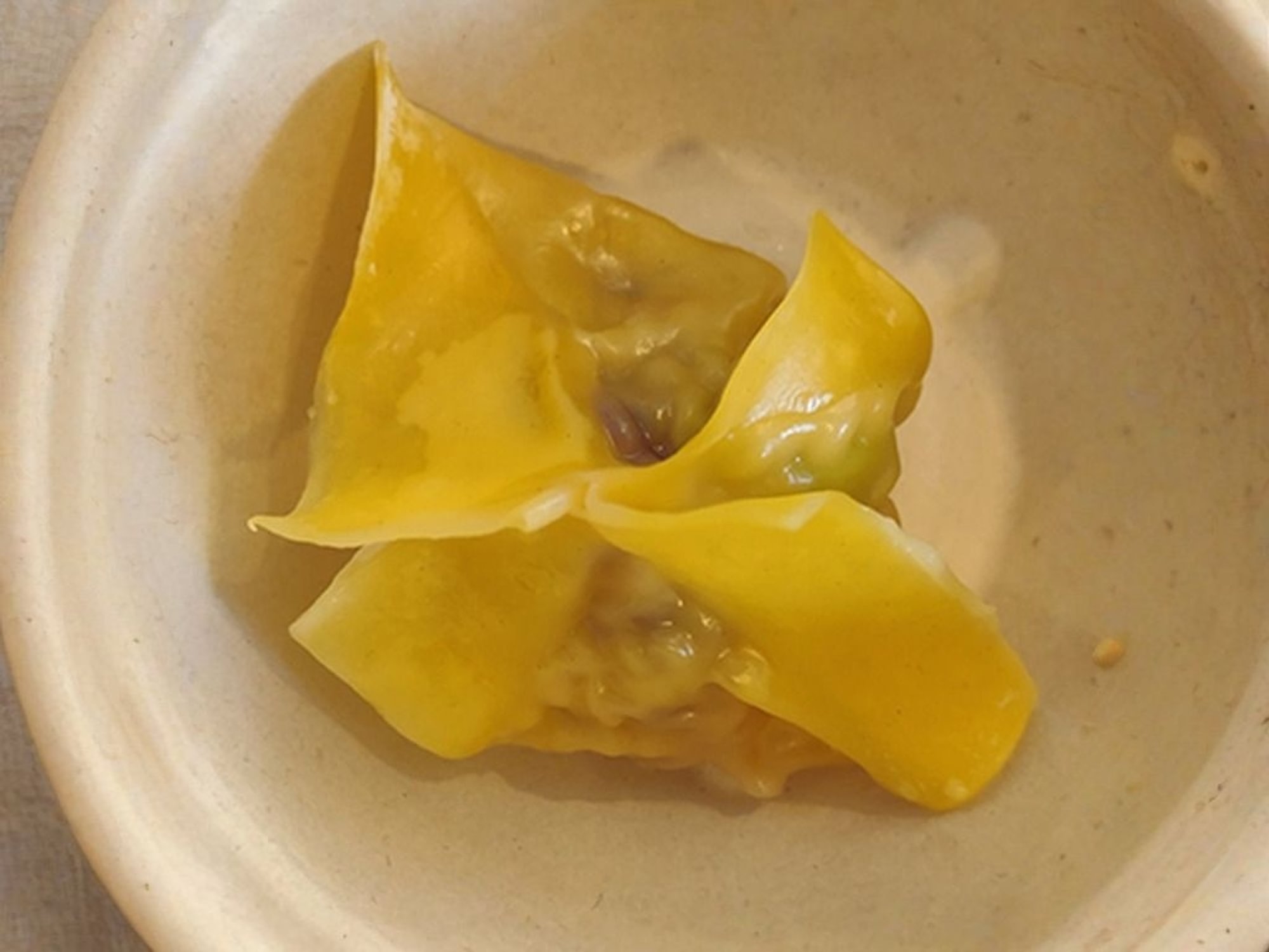 Dumpling - Chicken (1)