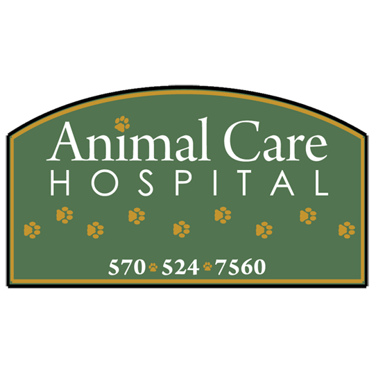 Animal Care Hospital