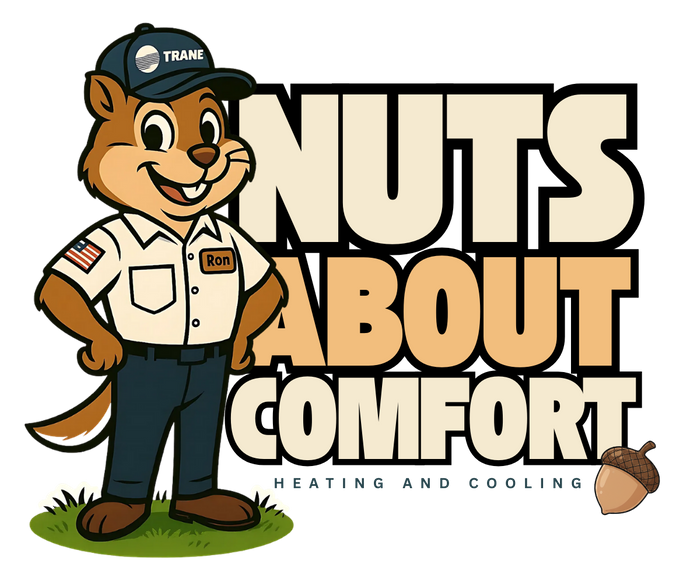 Nuts About Comfort Image
