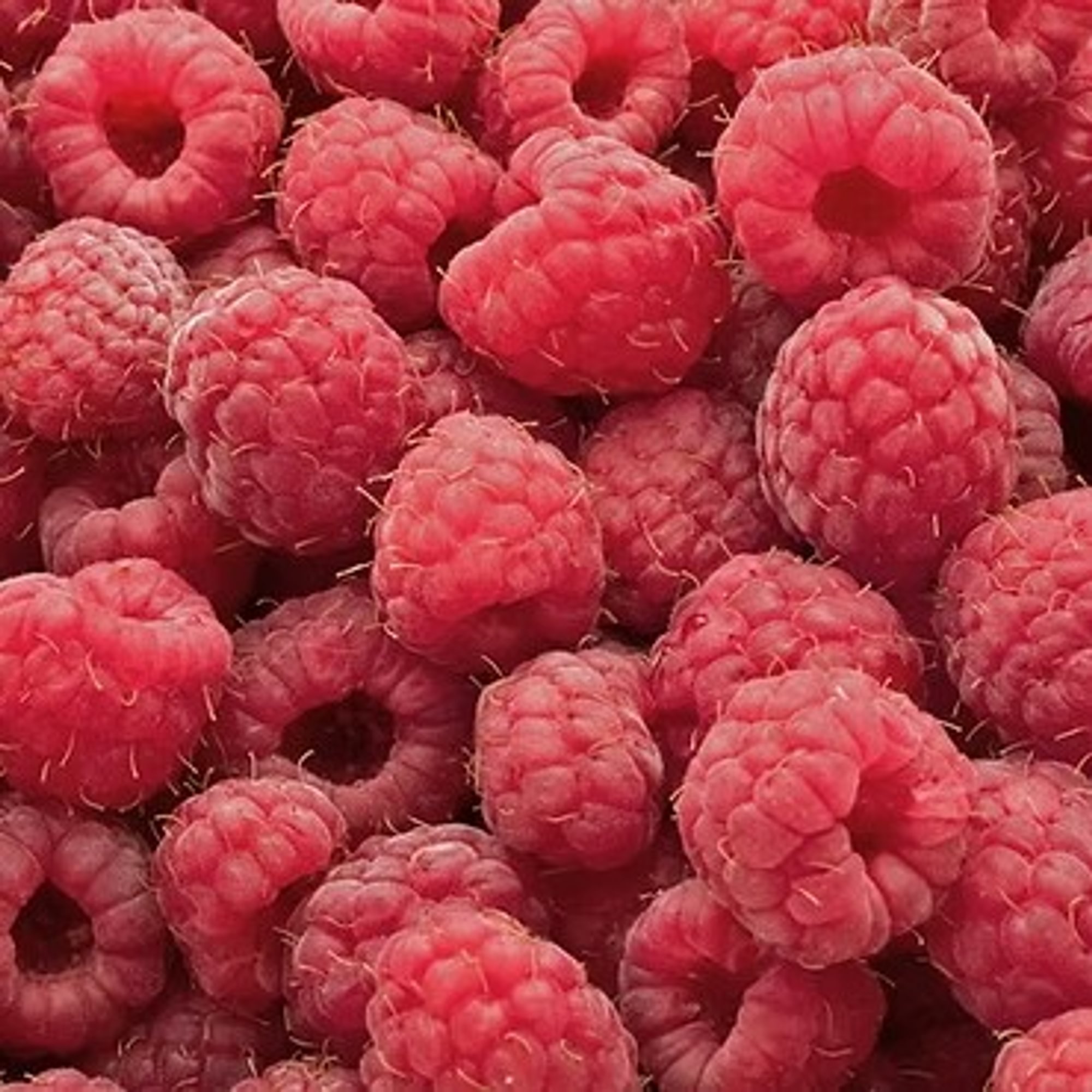 Cascadian Wild Raspberry White Balsamic
