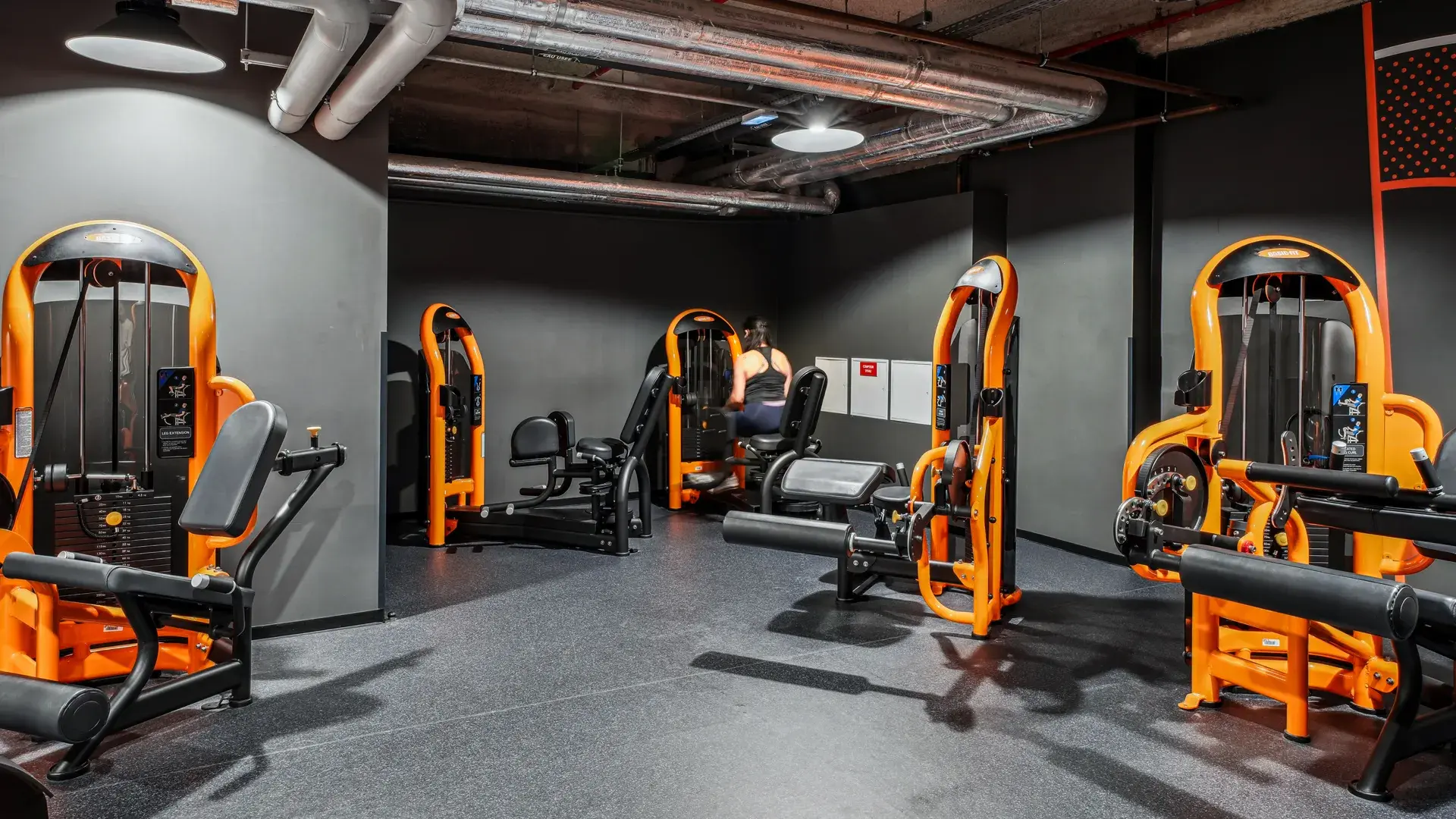 Miniature de la galerie