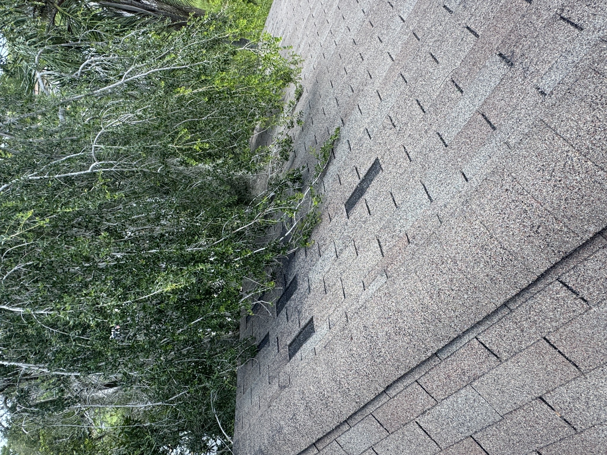 All Phase Roofing Services Image