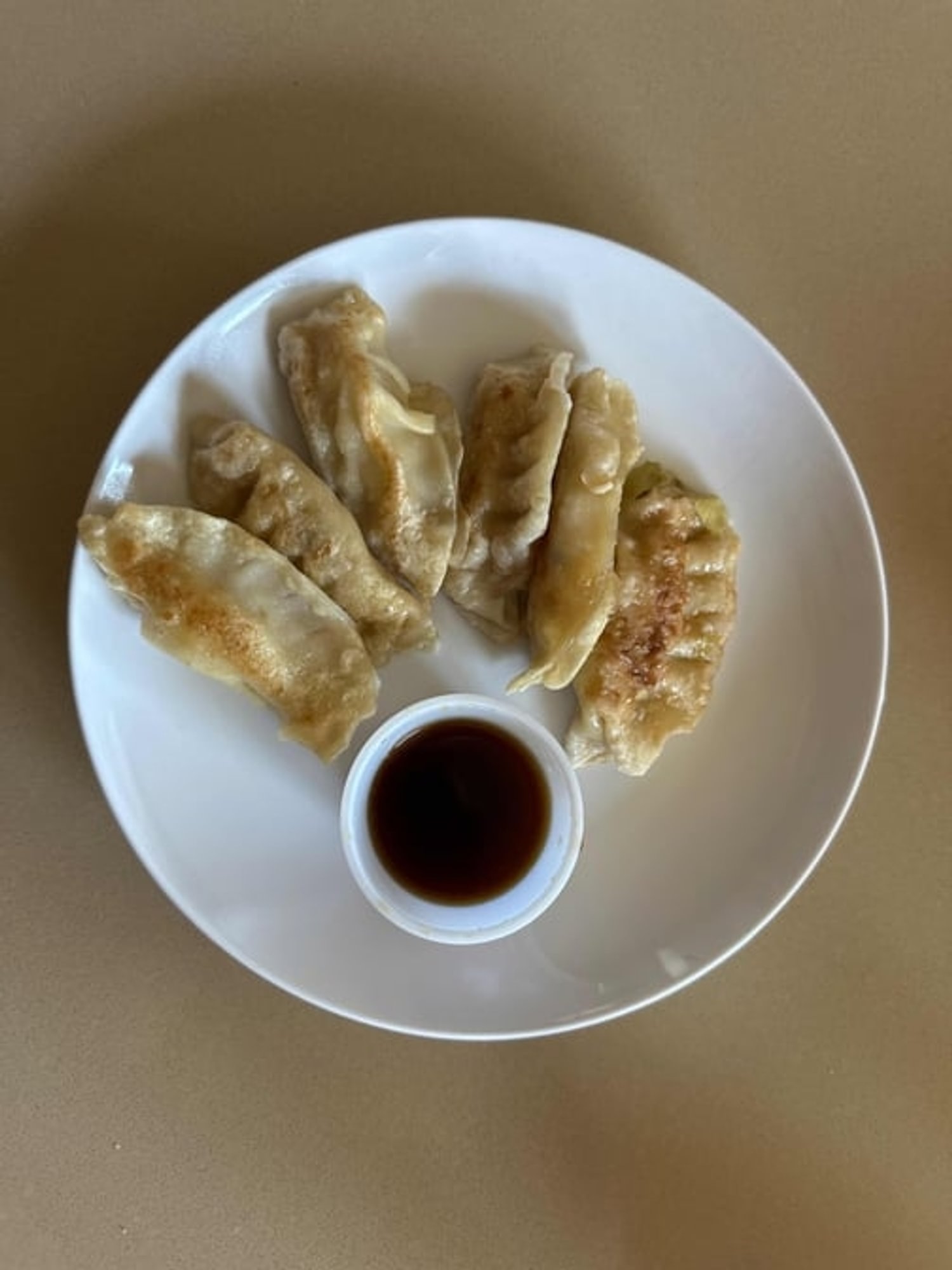 Potstickers (6)