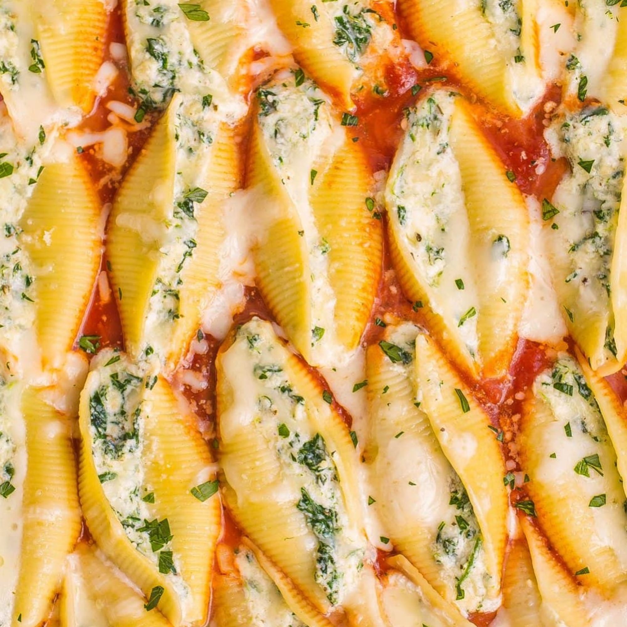 Stuffed Shells Pasta