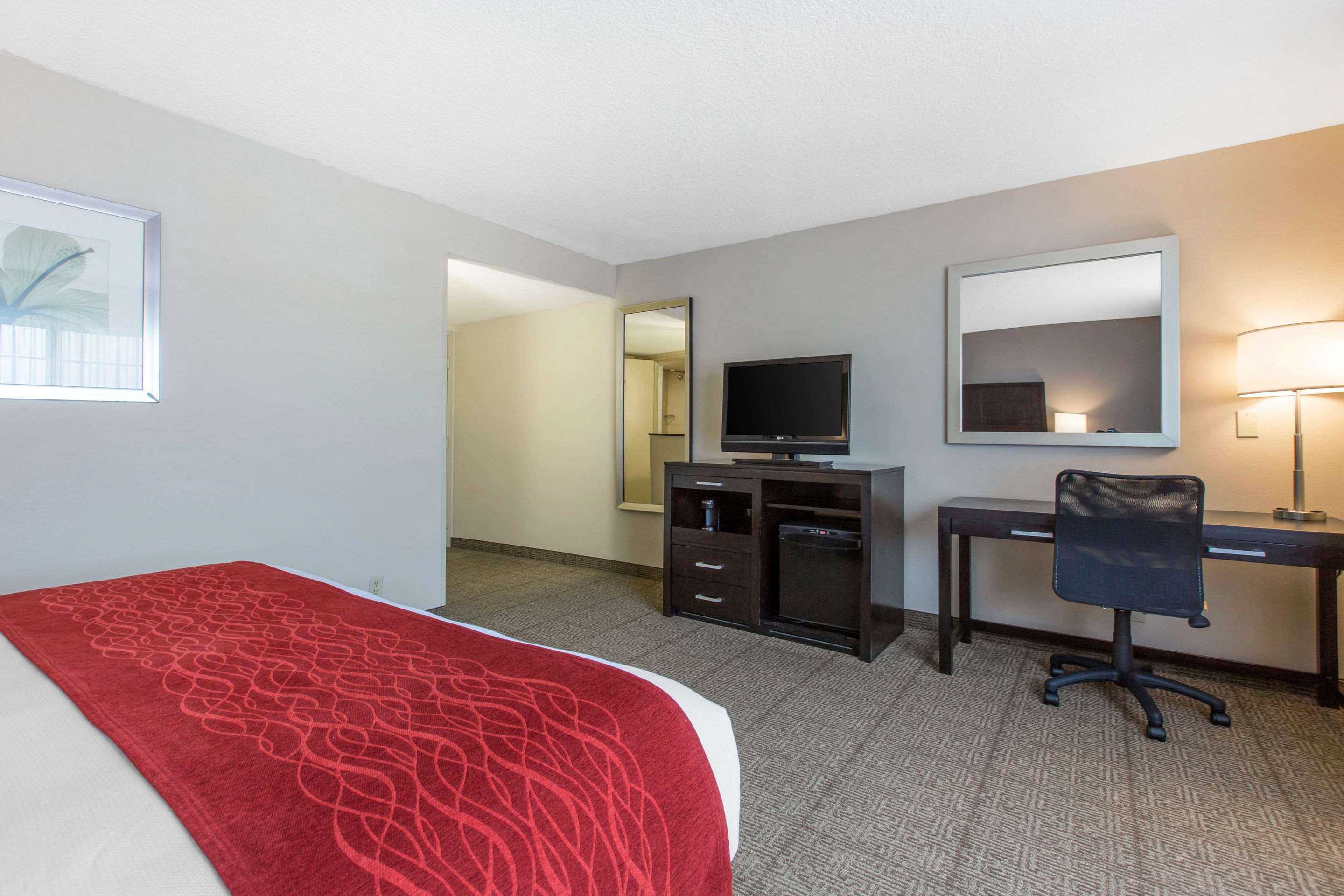 Comfort Inn & Suites San Diego - Zoo Seaworld Area Photo