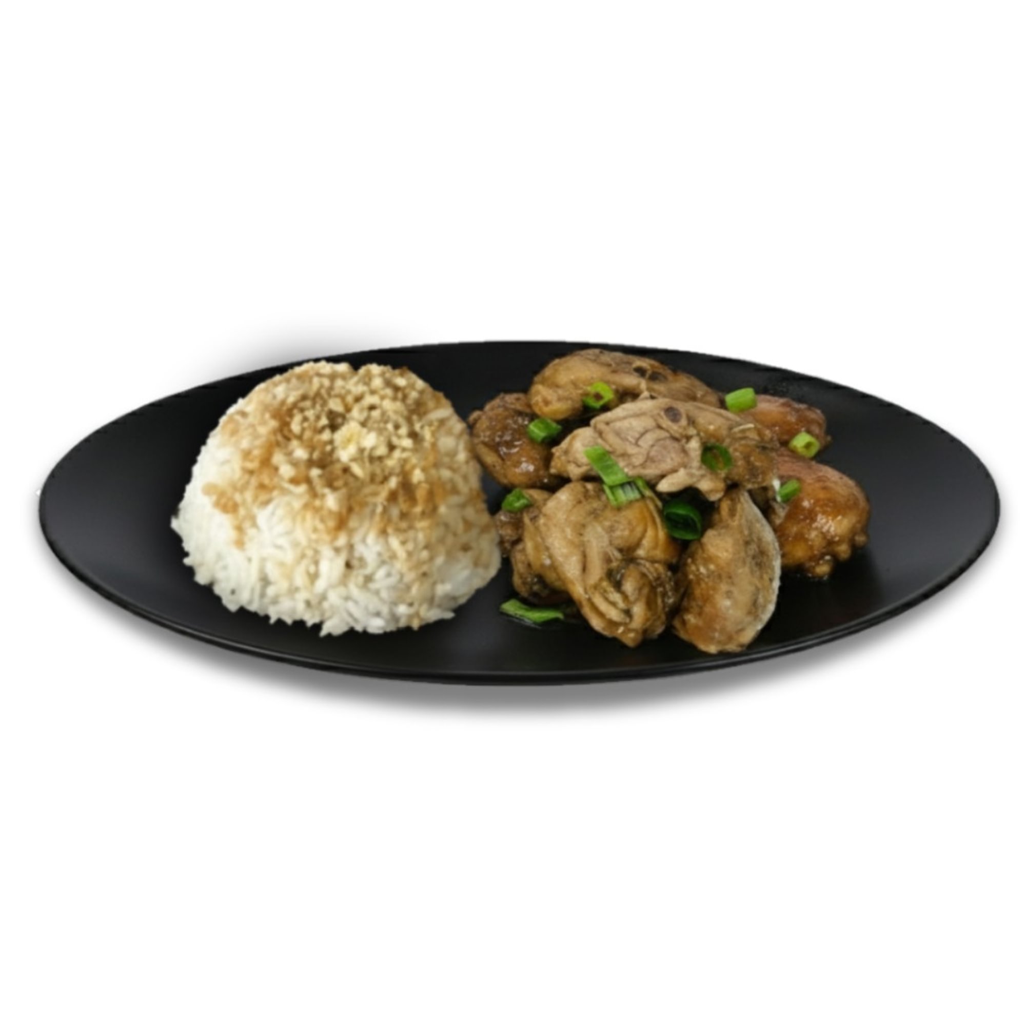 Adobo with Rice