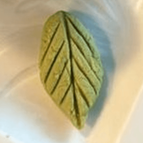 Wasabi