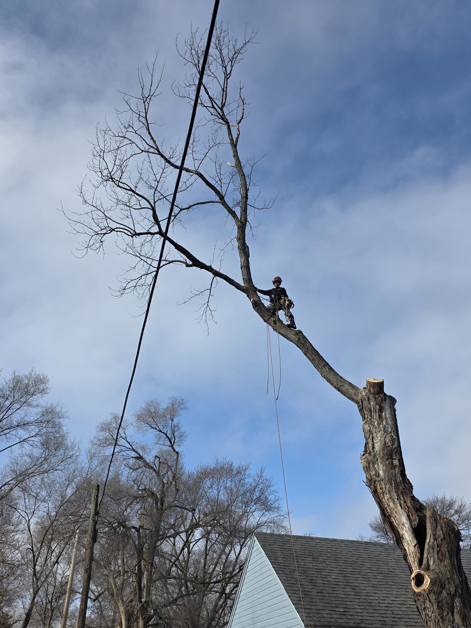 Arborist, LLC Image