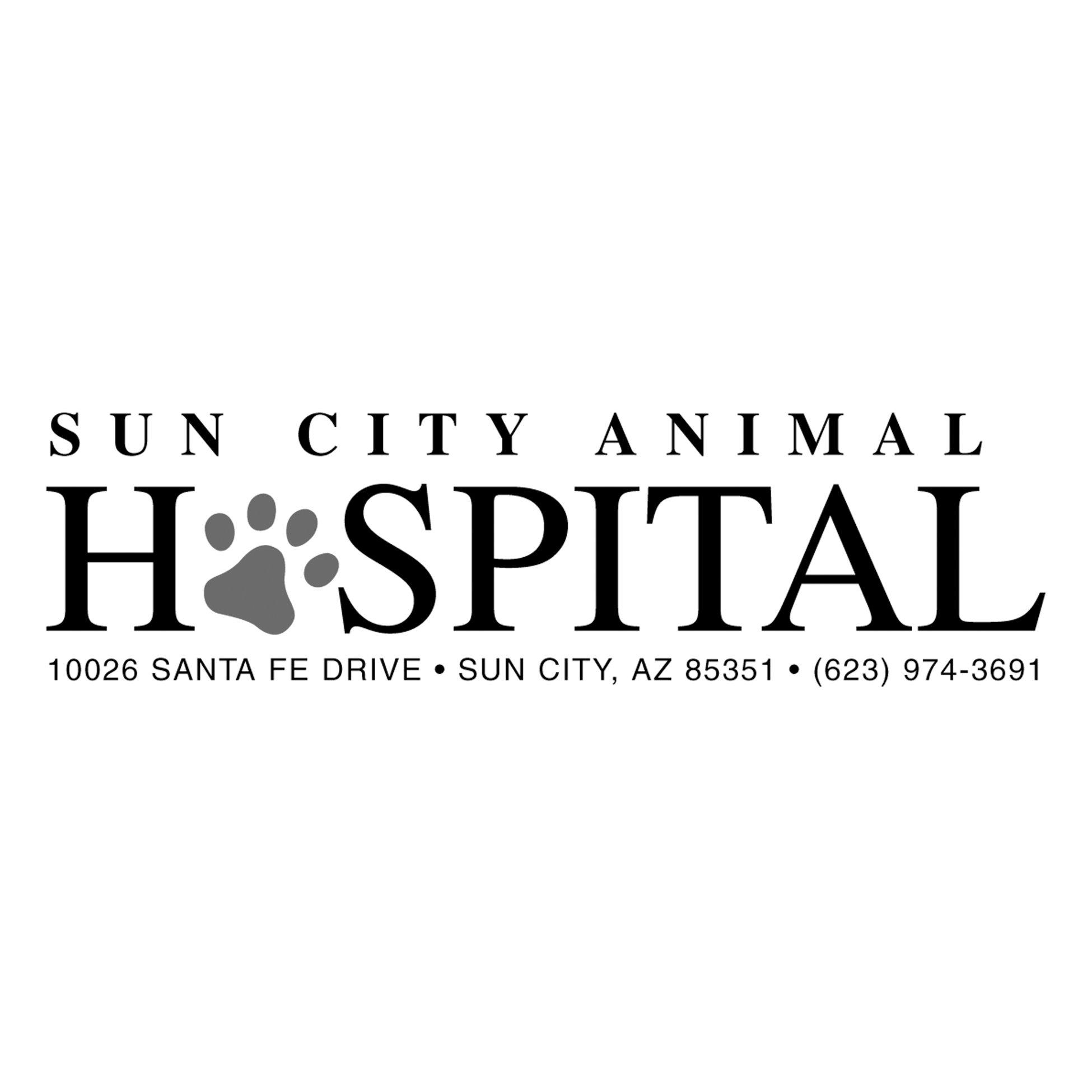 Sun City Animal Hospital Photo