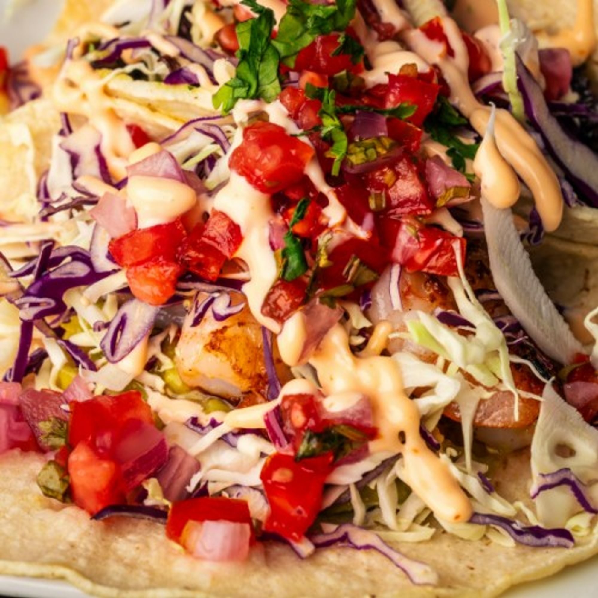 Tacos Duo