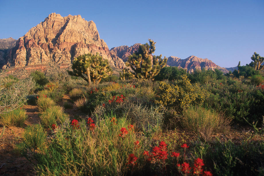 Walking and hiking trails at the Red Rock Canyon Conservation Area