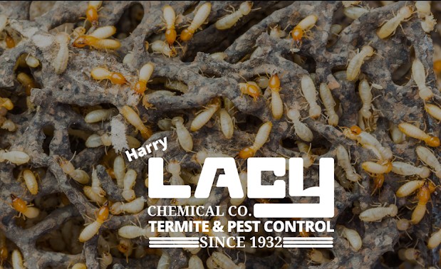 Harry Lacy Chemical LLC