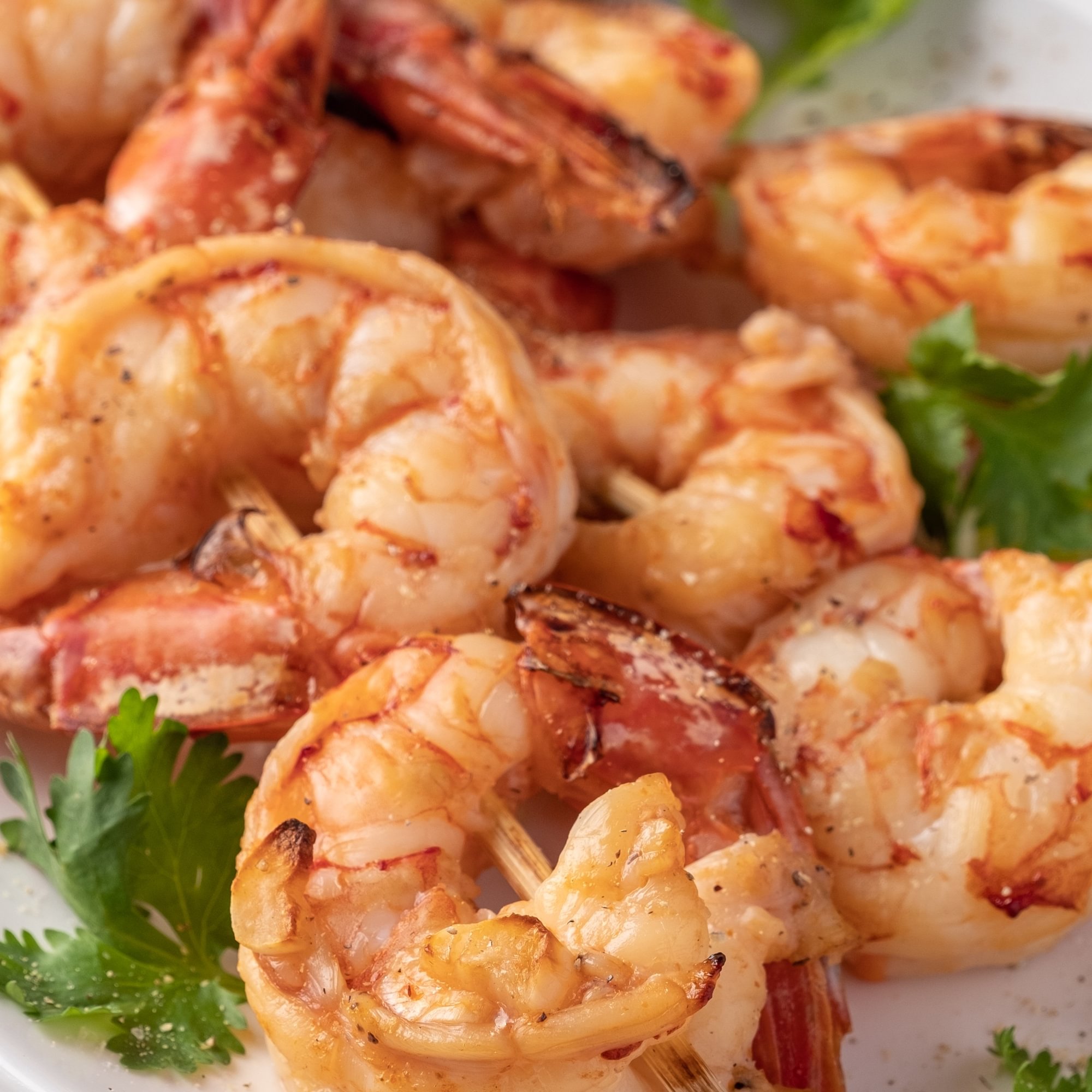 Shrimp (6)