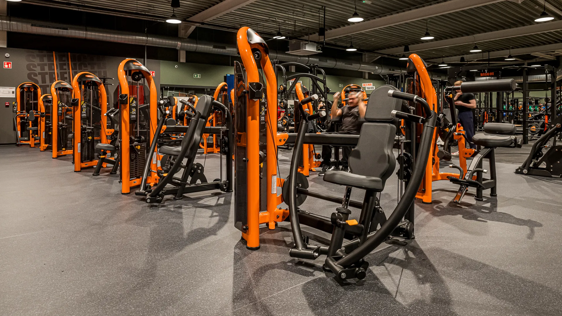 Miniature de la galerie