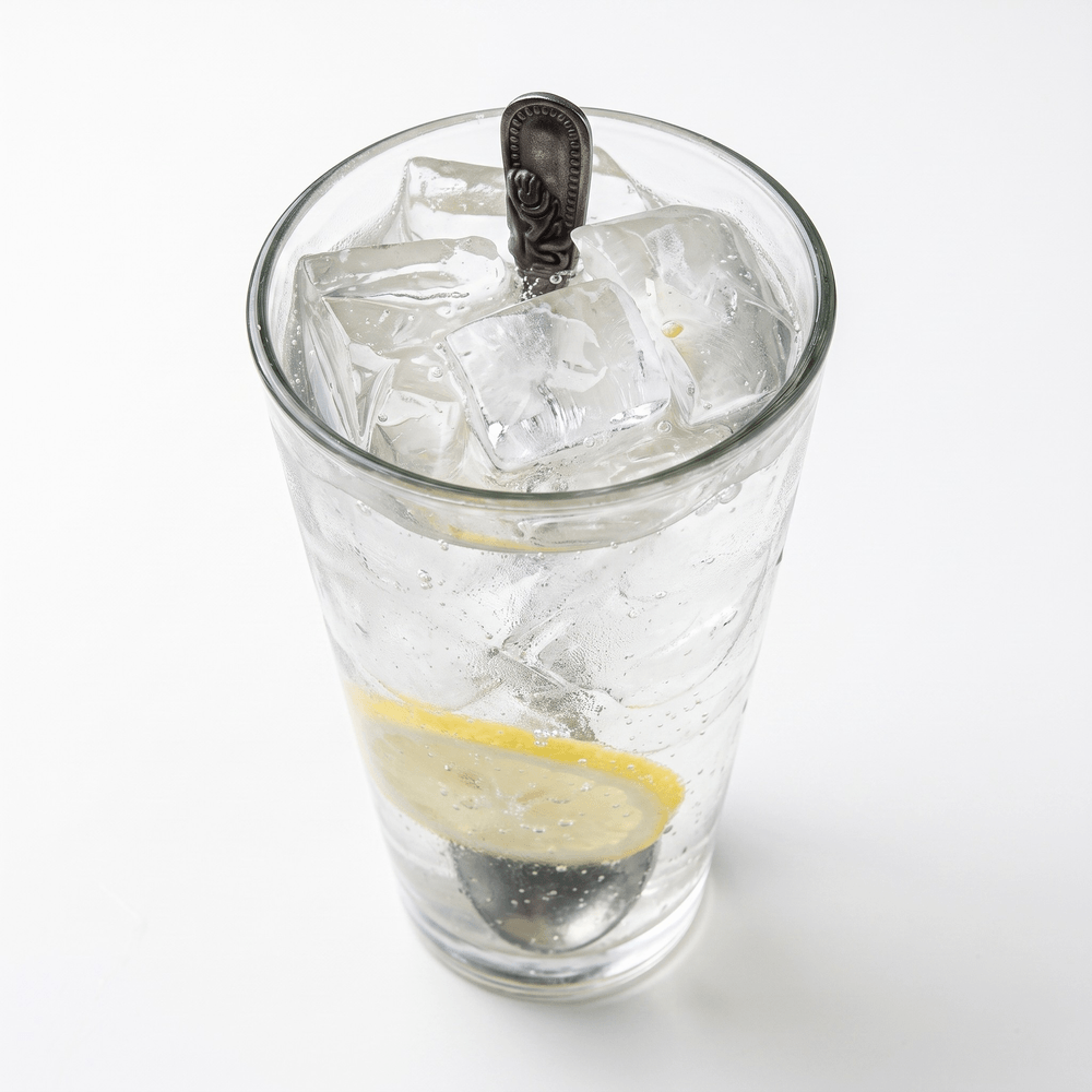 Fresh Lemon Drink (Đá Chanh)