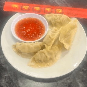 Chicken Dumplings (5)