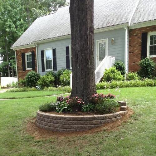 Anderson Groundscapes Image