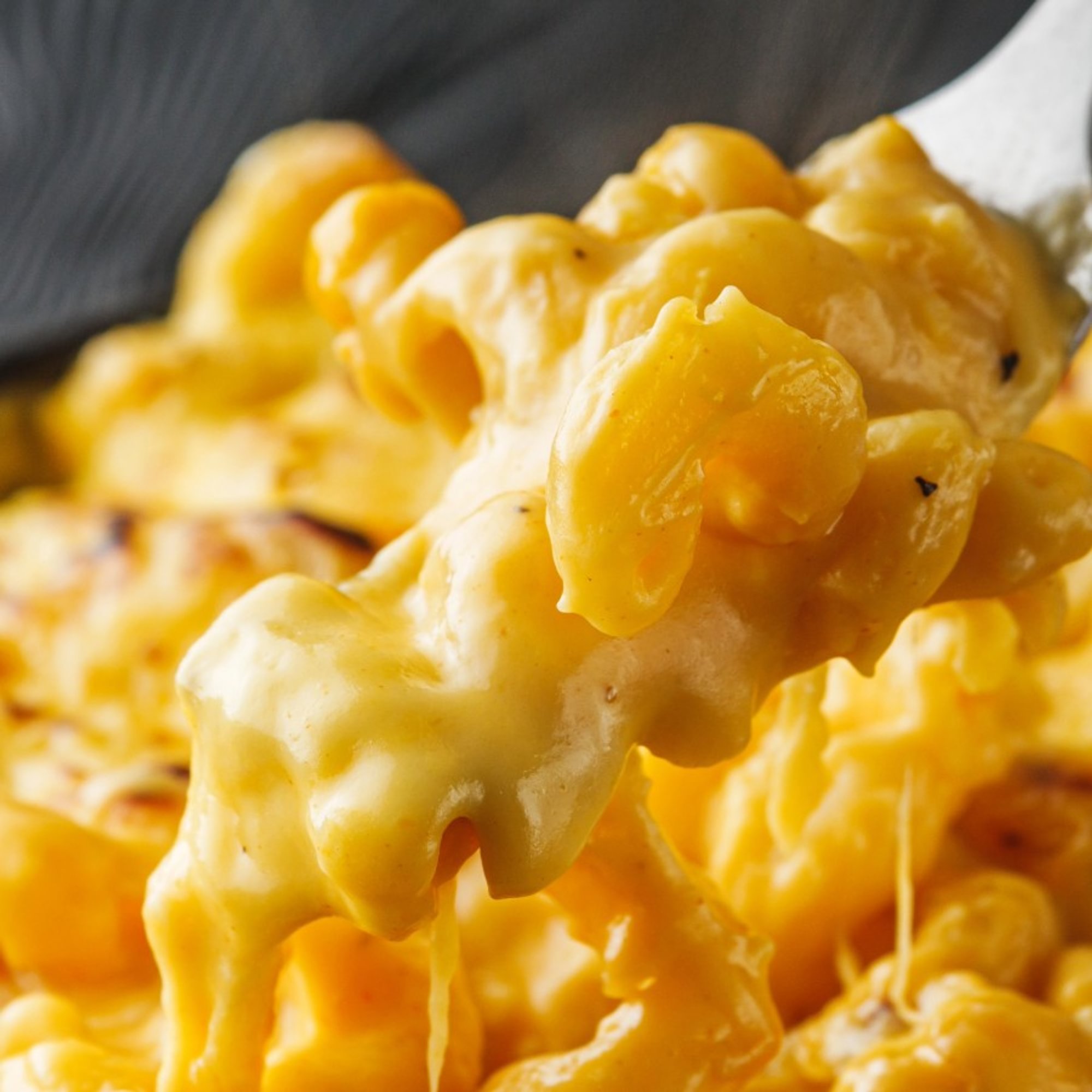 6 Cheese Mac