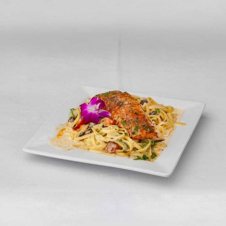VIBEZ ALFREDO PASTA