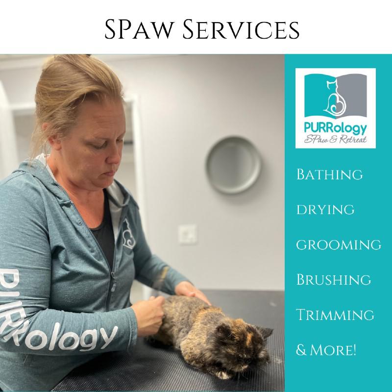 PURRology SPaw and Retreat