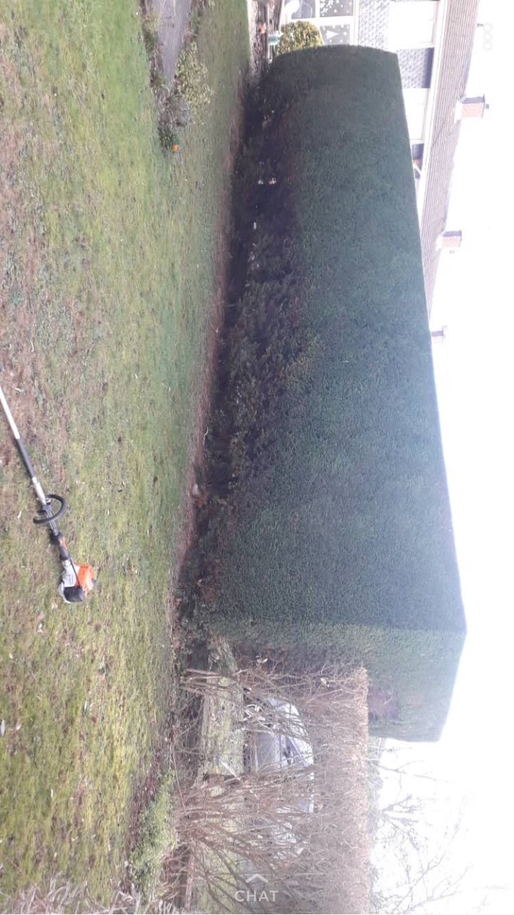 Images County Tree Services