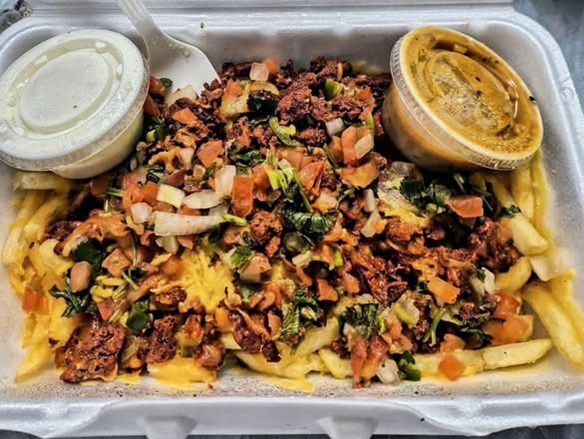 Carne Asada Fries Sin Queso Sauce
