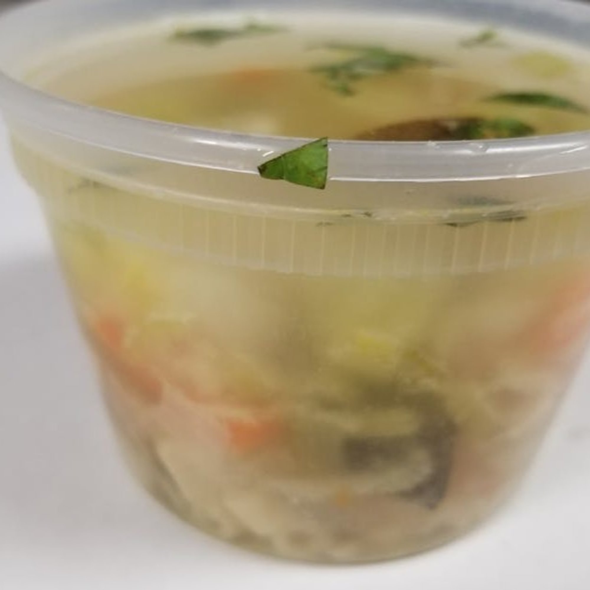Chicken Noodle Soup