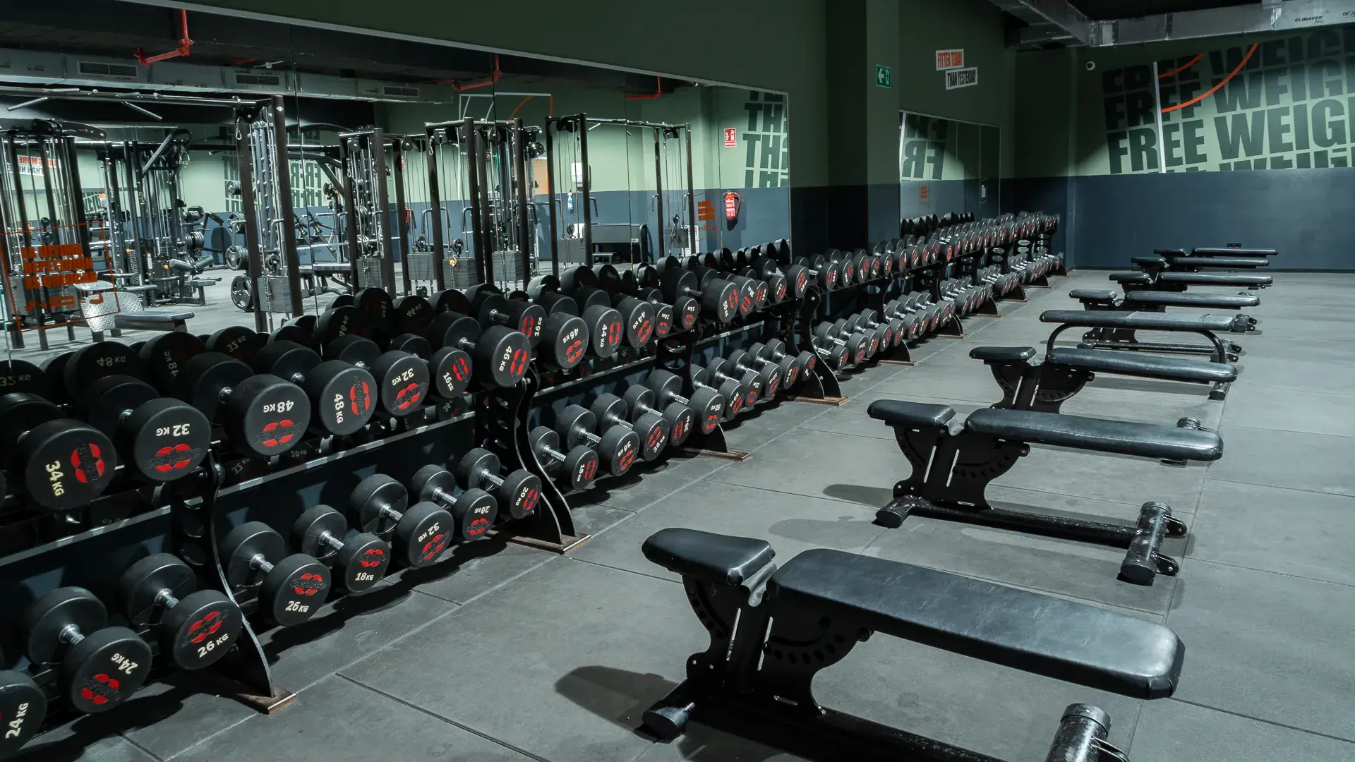 Galería de imágenes