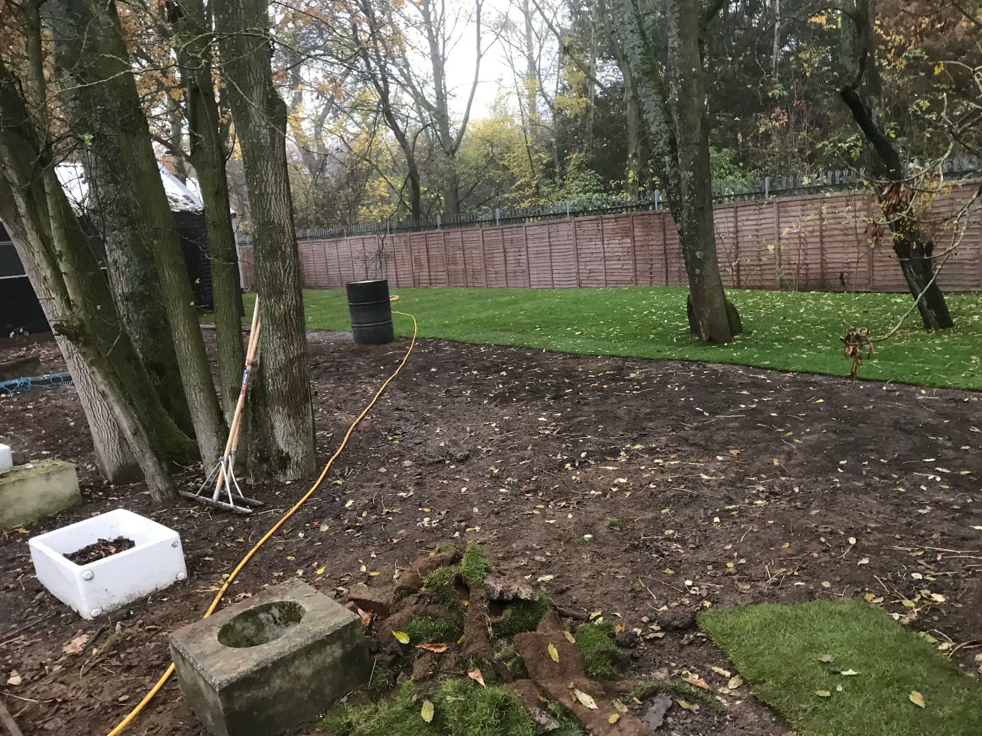 Images Tree & Garden Services