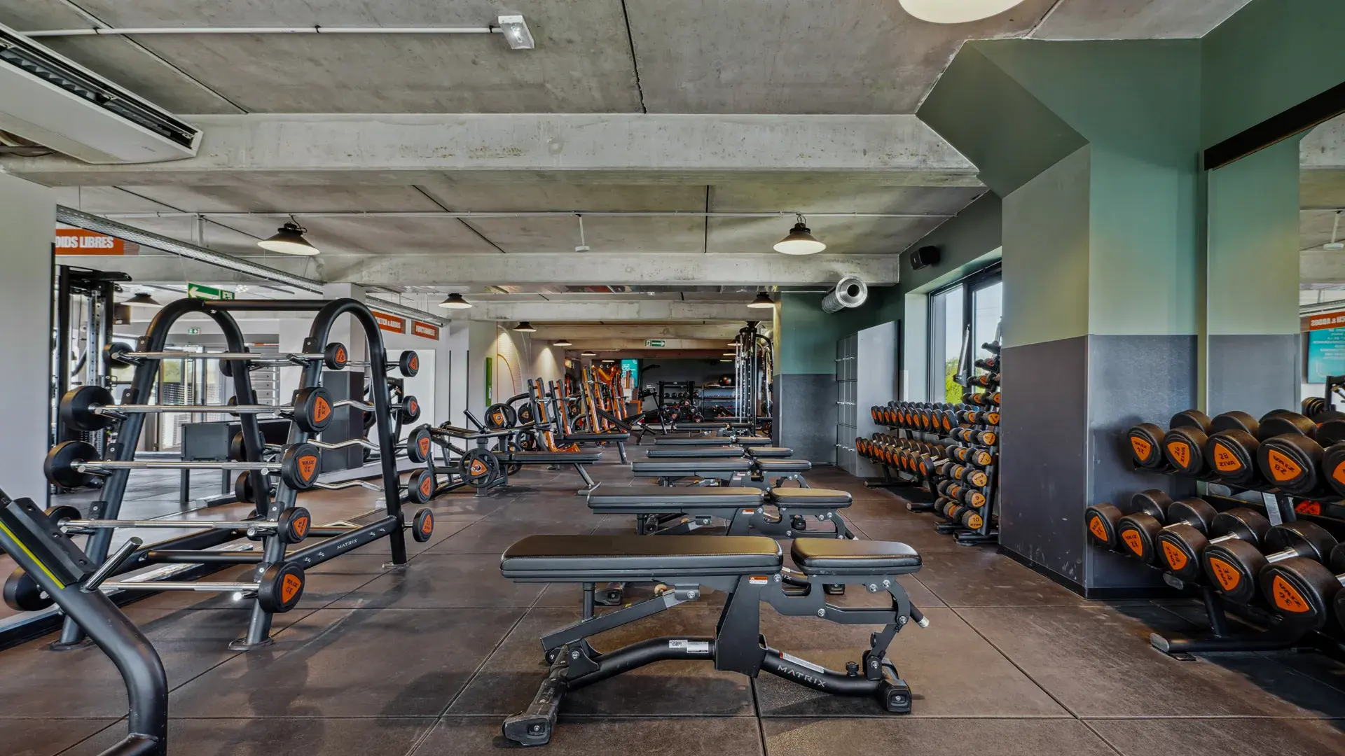 Miniature de la galerie