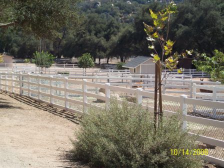 The Fence Dr. Photo