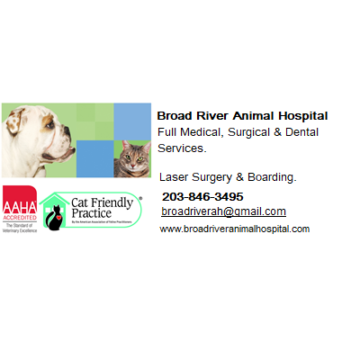 Broad River Vet