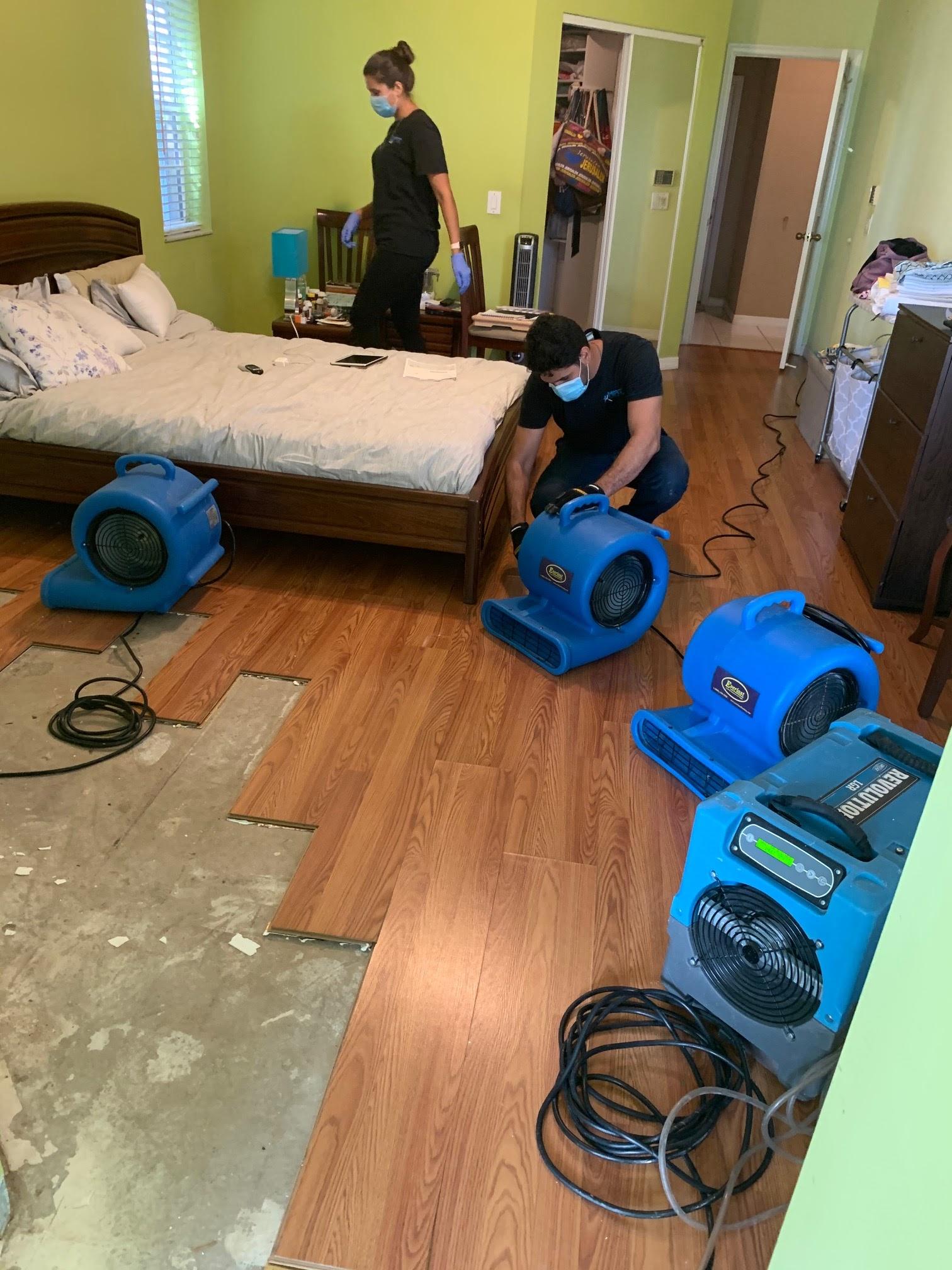 Mold Response Team Image