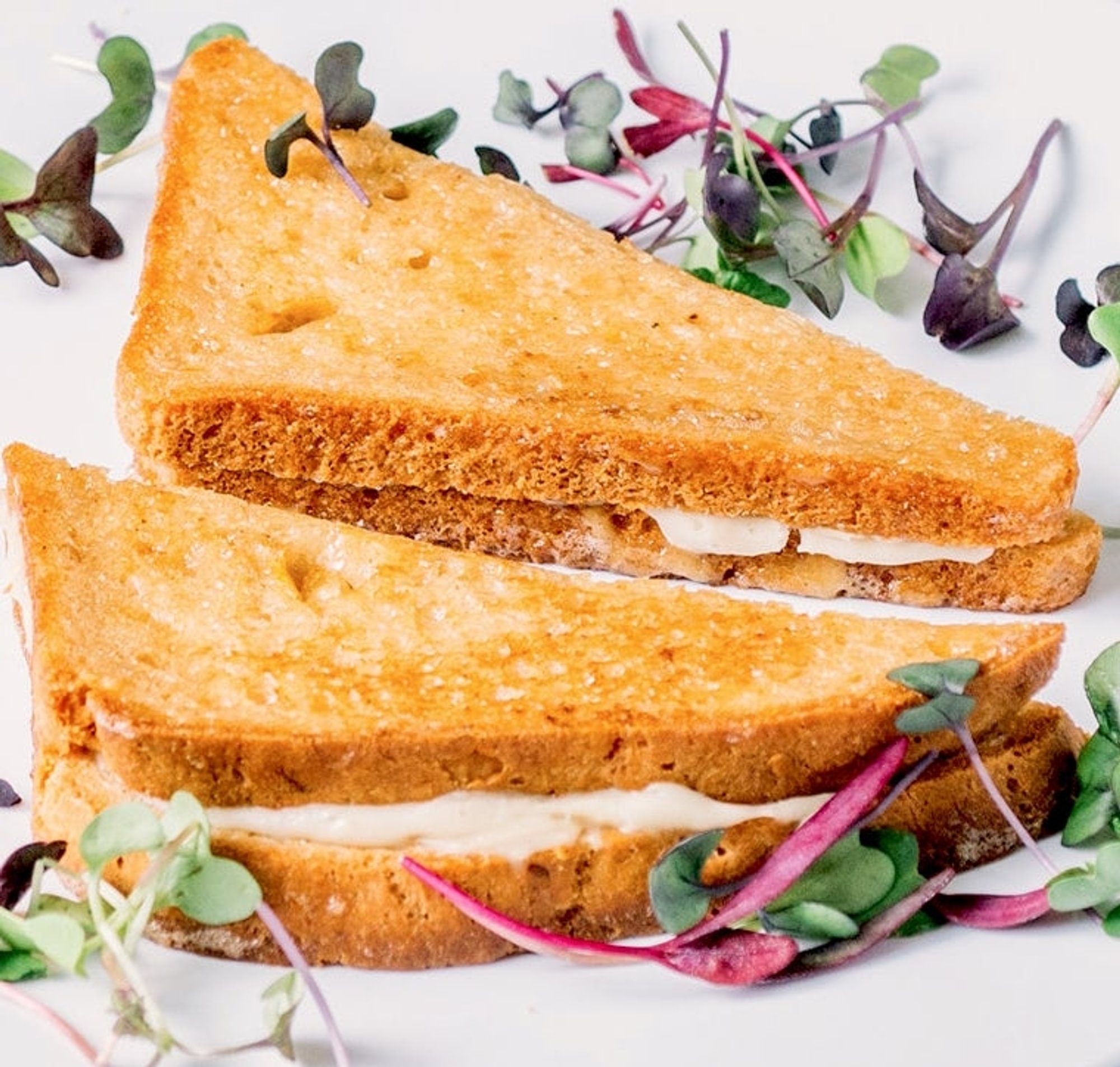 Grilled Cheeze