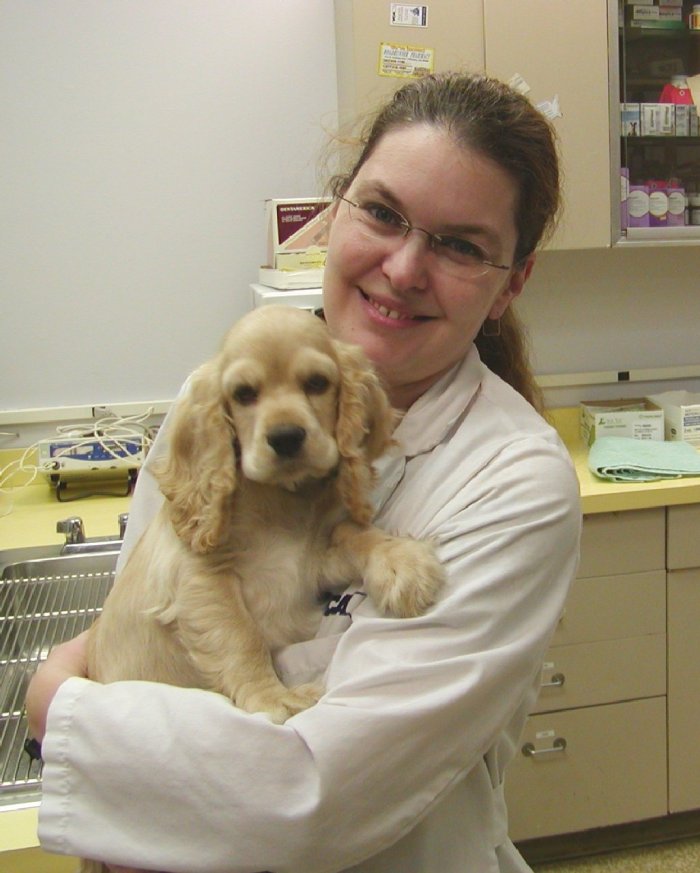 VCA Misener-Holley Animal Hospital Photo