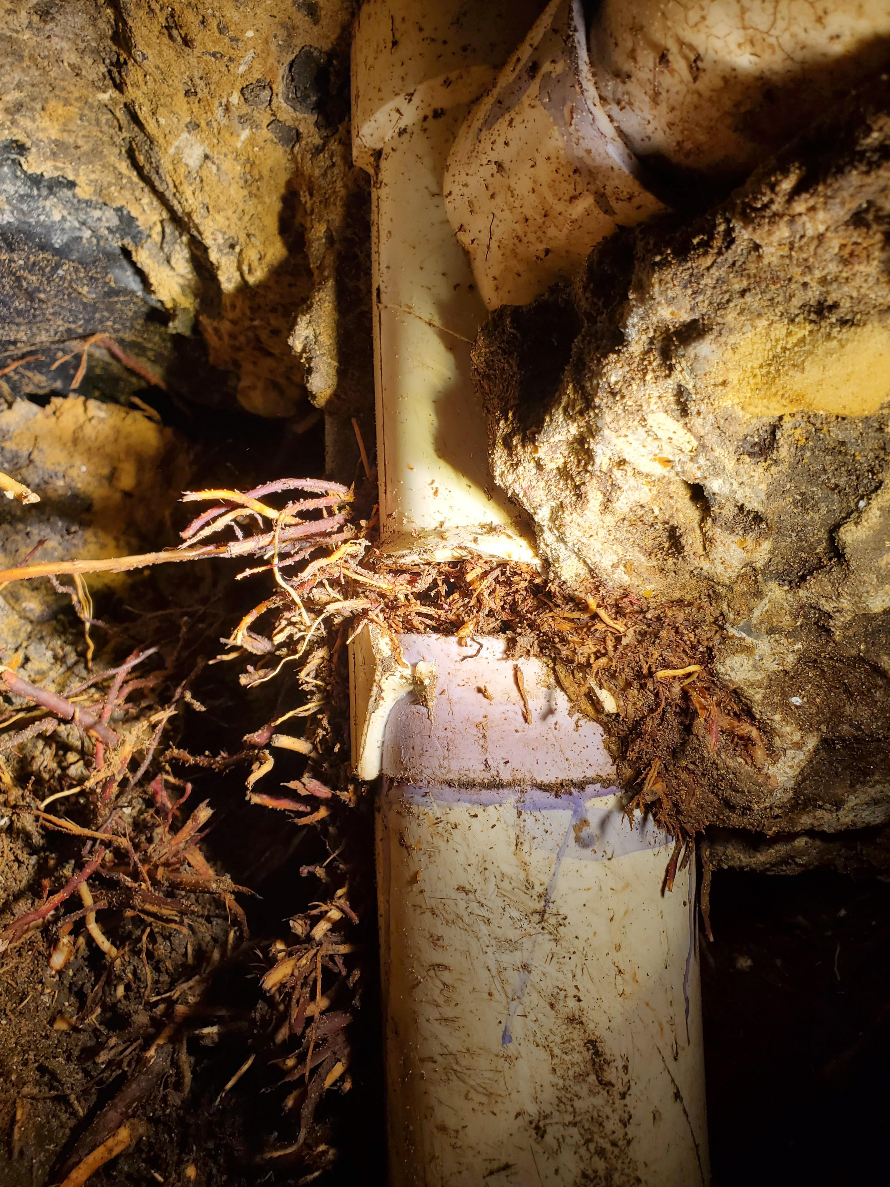 CMH Plumbing Solutions Image