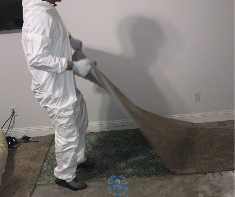 True North Restoration of Denver Image